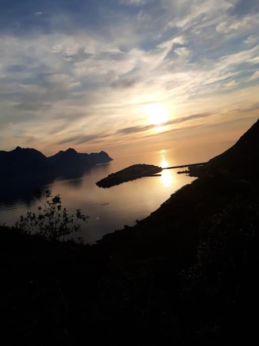 Senja, Husoy I Senja. Leilighet Med Utsikt Over Fjord Og Fjell Tofta Exterior foto