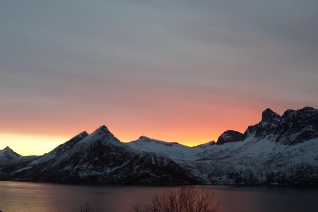 Senja, Husoy I Senja. Leilighet Med Utsikt Over Fjord Og Fjell Tofta Exterior foto